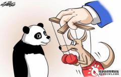 263亿，天辰注册登录澳洲铁矿石再获中国“大单”！为什么我们